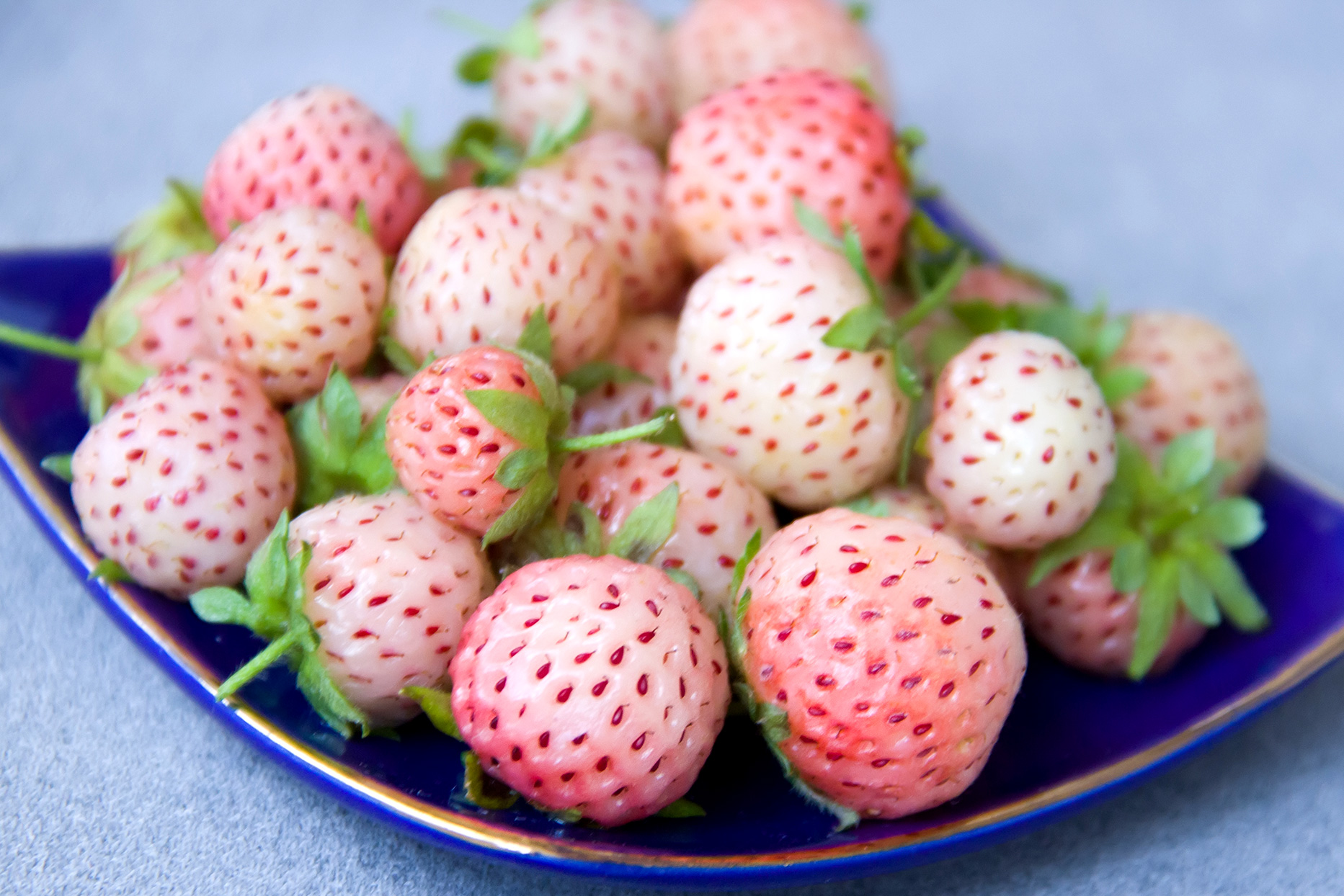 White Strawberries (All You Need to Know)