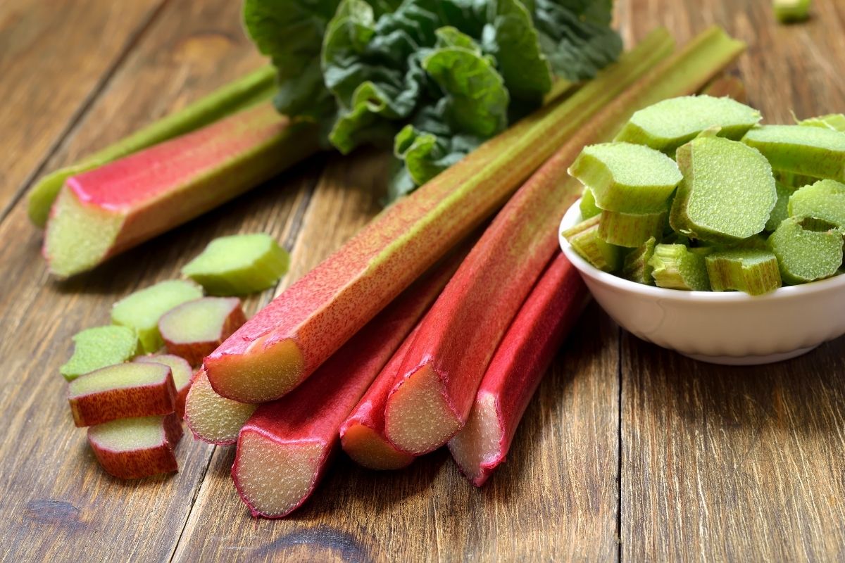 Rhubarb – Easy to Grow Super Food - Florissa