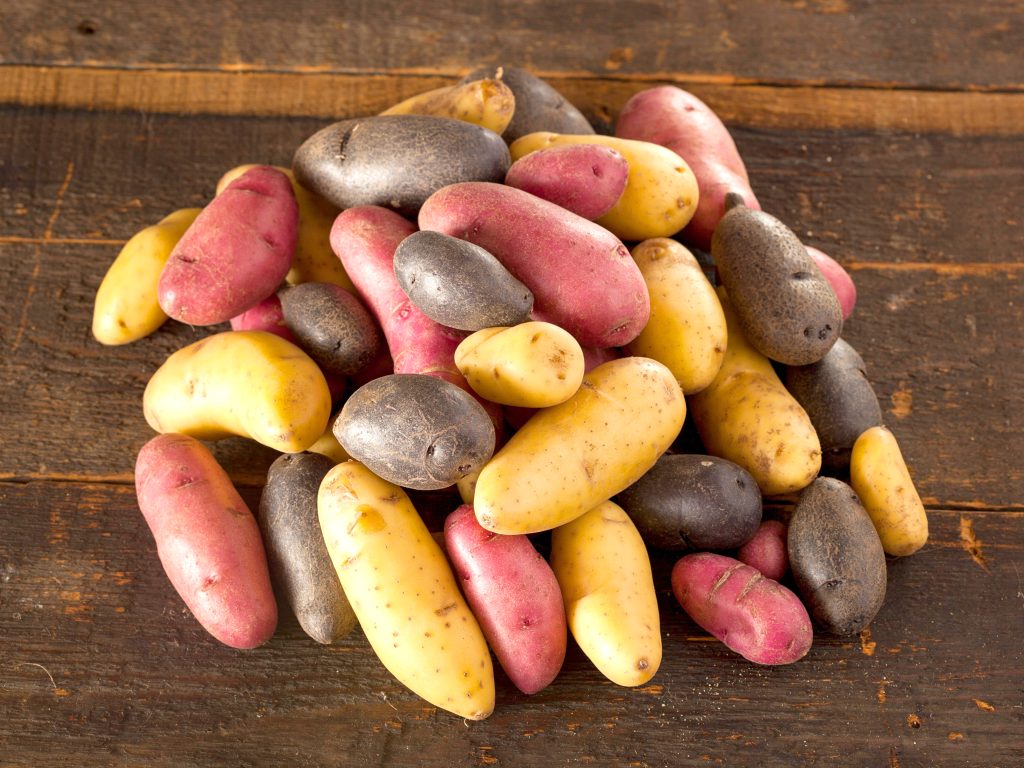 Red potatoes: varieties, growing & cooking - Plantura