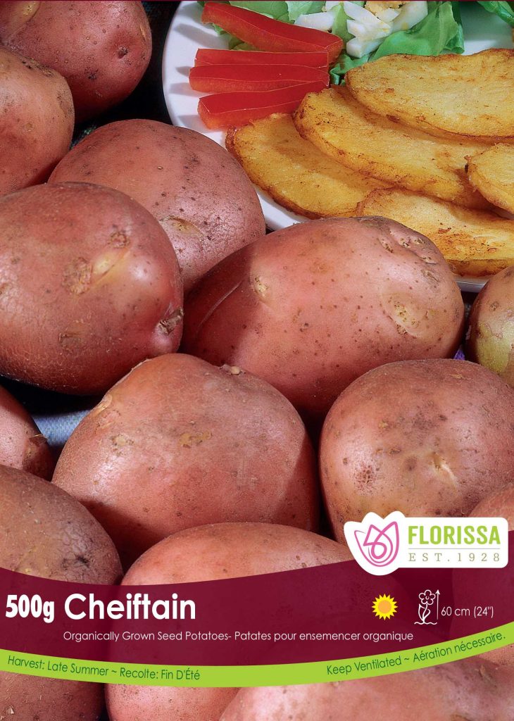 Red potatoes: varieties, growing & cooking - Plantura